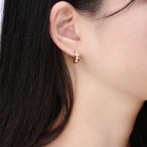 Magnetic earrings