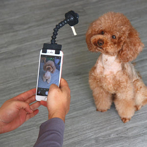 Hirundo Lovely Pet Selfie Stick