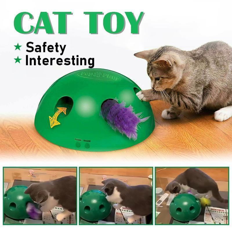 Peek-A-Boo Cat Toy