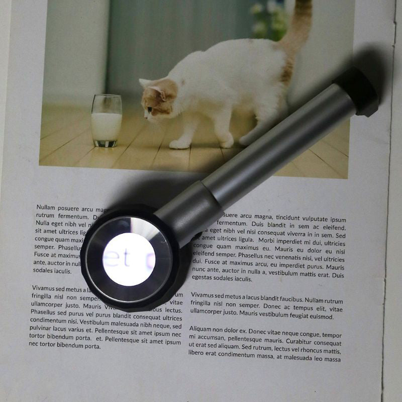 10X Magnifier Lens with Scale and LED Light