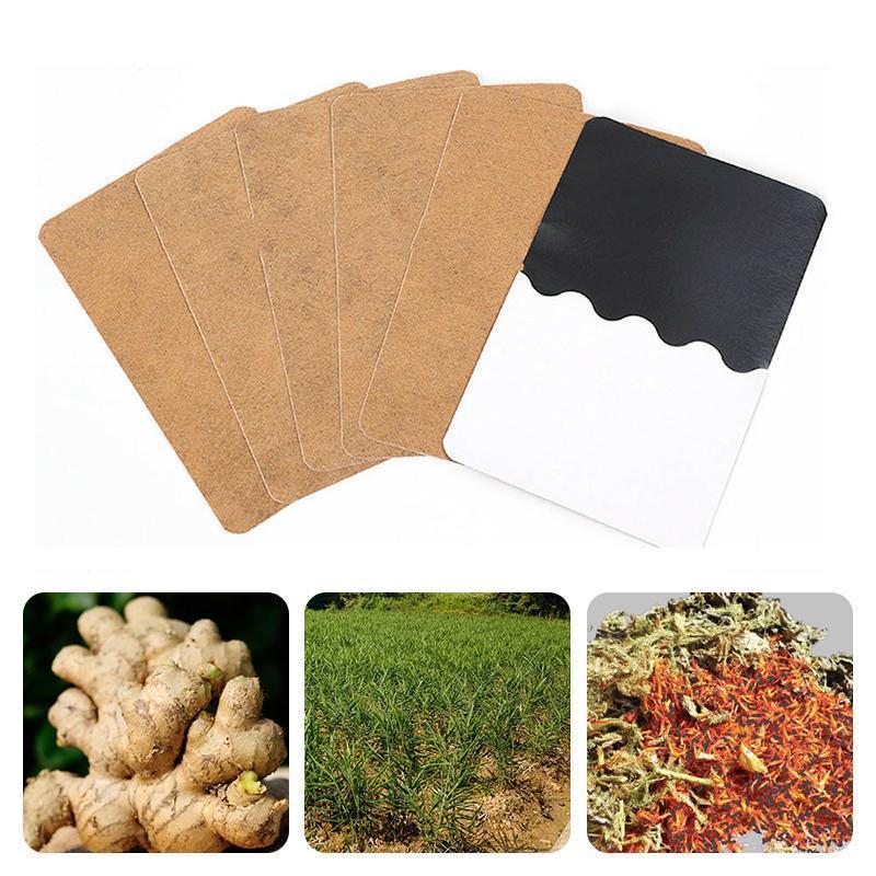 Herb Ginger Patches (10/30/50 PCs)