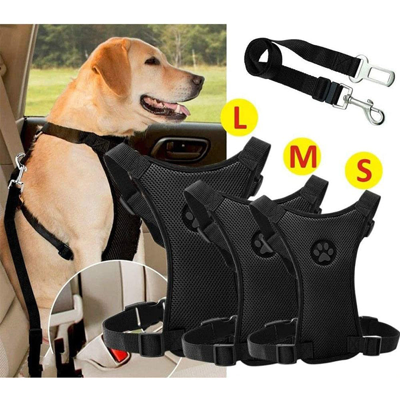 Dog Safety Harness Set
