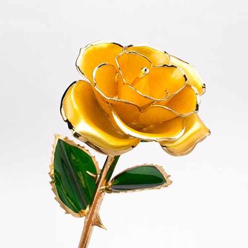 Bloom Eternal 24K Gold Rose